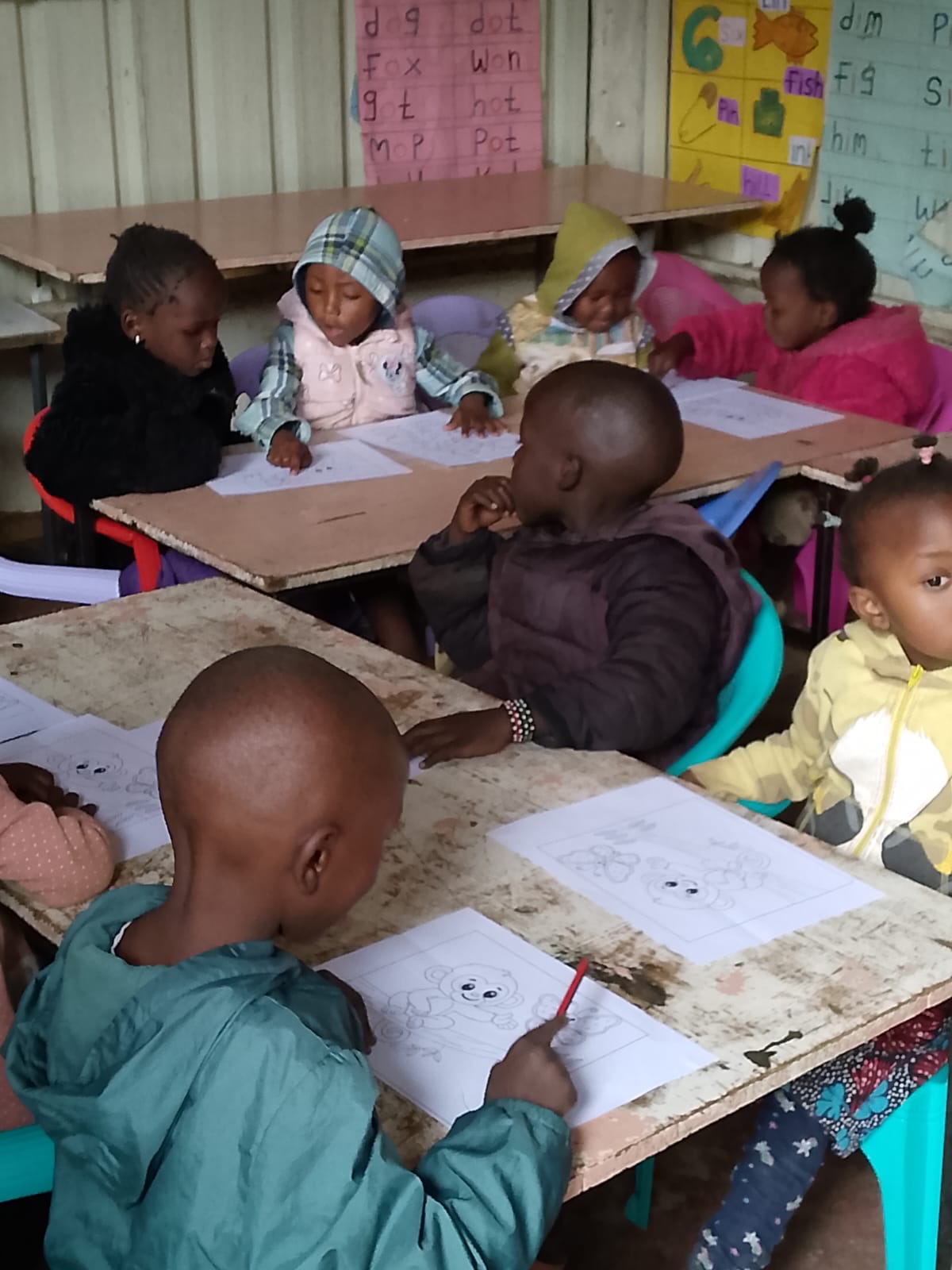 ECDE & primary school